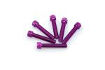 Kit Visserie Car&eacute;nage Puig En Aluminium Anodis&eacute; Violet Blister 6 vis allen M8x45mm