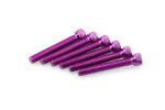 Kit Visserie Car&eacute;nage Puig En Aluminium Anodis&eacute; Violet Blister 6 vis allen M8x55mm
