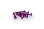 Kit Visserie Car&eacute;nage Puig En Aluminium Anodis&eacute; Violet Blister 6 vis bomb&eacute; M6x30mm