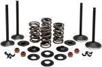 Kit conversion de soupapes Kibble White 09263210