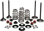 Kit conversion de soupapes Kibble White 09263220