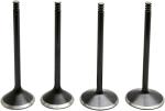 Kit conversion de soupapes Kibble White Black Diamond