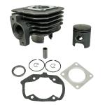 Kit cylindre-piston P2R CYLINDRE SCOOT ADAPTABLE PEUGEOT 50 LUDIX ONE-TREND-SNAKE-CLASSIC, VIVACITY 2T 2008+, KISBEE 2T 2013+, CITYSTAR -P2R FONTE AVEC
