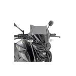 Kit de fixation Givi pour saut vent 2166A