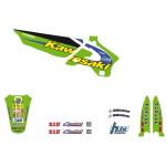 Kit d&eacute;co Tecnosel VINTAGE TEAM KAWASAKI 1998