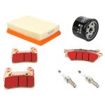 Kit entretien P2R 223903