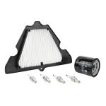 Kit entretien P2R 223952