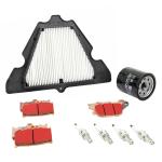 Kit entretien P2R 223953