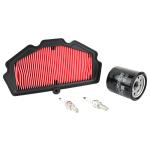 Kit entretien P2R 223972