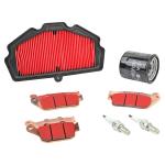 Kit entretien P2R 223975