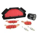 Kit entretien P2R 223982