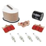 Kit entretien P2R 223989