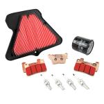 Kit entretien P2R 224001