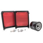 Kit entretien P2R 224053