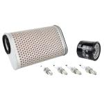 Kit entretien P2R 224073