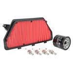 Kit entretien P2R 224080