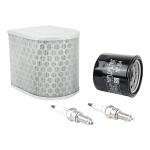 Kit entretien P2R 224132