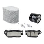 Kit entretien P2R 224133