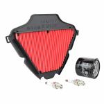 Kit entretien P2R 224154