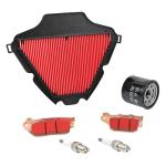 Kit entretien P2R 224155