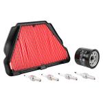 Kit entretien P2R 224173