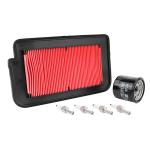 Kit entretien P2R 224174