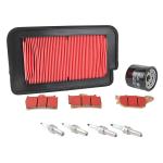 Kit entretien P2R 224176