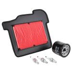 Kit entretien P2R 224187