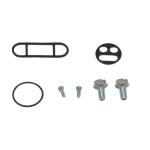 Kit reconditionnement robinet d'essence Tour Max