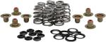 Kit ressort de soupape Kibble White Ovate Wire Beehive