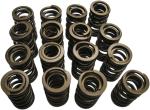 Kit ressort de soupape Kibble White Ressorts Haute Performance