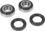 Kit roulements de roue + spys Drag Specialties A251001