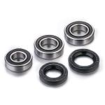 Kit roulements de roue + spys Factory Links arri&egrave;re