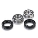 Kit roulements de roue + spys Factory Links avant