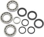 Kit roulements et joints de diff&eacute;rentiel Moose Racing 12050168