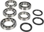 Kit roulements et joints de diff&eacute;rentiel Moose Racing 12050210