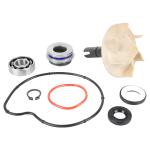 Kit r&eacute;paration pompe &agrave; eau Magneti Marelli MAXISCOOTER
