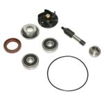 Kit r&eacute;paration pompe &agrave; eau P2R KIT REPARATION POMPE A EAU MAXISCOOTER ADAPTABLE PIAGGIO 250 MP3 2006+, X7 2007+, 300 MP3 2010+, X7 2009+, VESPA GTS 2008+, BEVE