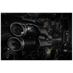 Ligne Compl&egrave;te Zard 2 en 1 2 gt inox - embout carbone noir