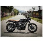 Ligne Compl&egrave;te Zard haute inox racing carbu - embout inox noir