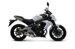 Ligne compl&egrave;te homologu&eacute;e Termignoni inox ER-6N / F (12-16)