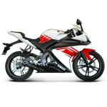 Ligne compl&egrave;te non homologu&eacute; Termignoni carbone YZF-R125 (08-13)