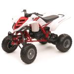 Miniature Newray Quad Yamaha Raptor 660R - Echelle 1/12&deg;