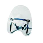 Pare brise Brazoline custom transparent