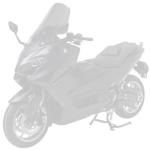 Pare brise Ermax taille origine (52,5cm)