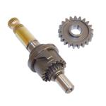 Pignon de kick P2R AXE 50 A BOITE TYPE