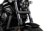 Protections de fourche Puig Apparence carbone