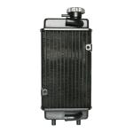Radiateur P2R RADIATEUR 50 A BOITE TYPE MINARELLI 50 AM6 ENDURO-GENERIC 50 TRIGGER (H 280mm x L 140mm) -P2R-
