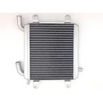 Radiateur Tecnium BIHR