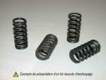 Ressorts d'embrayage Bihr 1009128